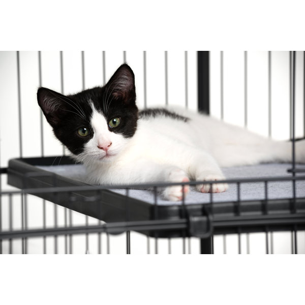 Tucker Murphy Pet™ Coppage Replacement Platform Shelf for Cat Cages